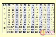 属猪的出生年份对照表