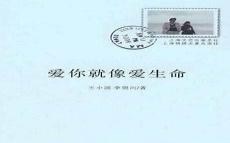 我爱你就像爱吃水煮鱼